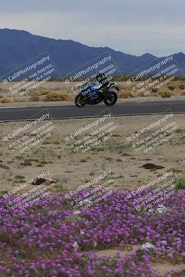 media/Jan-14-2023-SoCal Trackdays (Sat) [[497694156f]]/Turn 14 Exit Bloomig (145pm)/